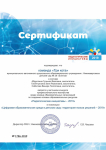 Сертификат. Пед.инициативы 2019 г.